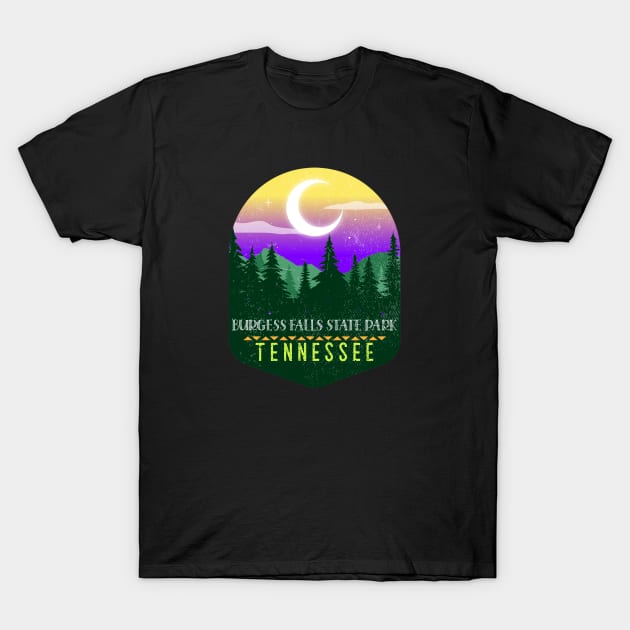 BURGESS FALLS STATE PARK T-Shirt by Cult Classics